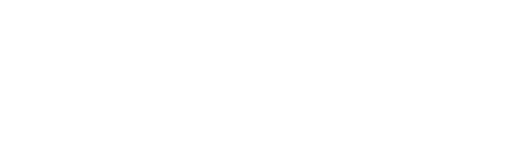 Logo_ts