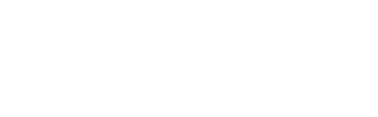 BP_Logo_GER_white-min